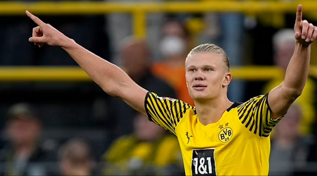 冷静判断 冷静判断